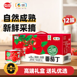 屯河 新疆内蒙番茄丁200g*12礼盒 0添加剂西红柿块番茄酱罐头