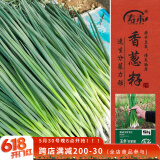 寿禾 小香葱种子种苗四季家庭种植蔬菜种籽 潍育玉条农家葱种子2000粒