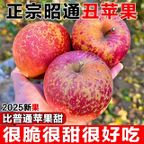 野凰现摘当季云南昭通丑苹果冰糖心苹果水果新鲜脆甜2025新苹果丑苹果 80-85mm大果 10斤净重（彩箱包装）