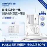 洁碧（Waterpik）冲牙器家用台式电动洗牙器水牙线洁牙器清洁口腔预防牙结石全身水洗 水瓶座GT3白 礼物