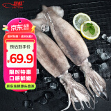 初鲜鲜冻整条大鱿鱼2-4条净重2斤 铁板火锅烧烤食材海鲜软足端午聚餐