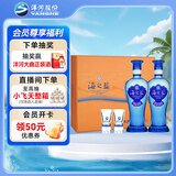 洋河 蓝色经典 海之蓝 42度 480ml*2瓶 礼盒装  浓香型白酒 