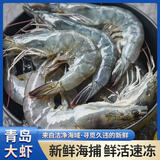 鲜活大虾虾子新鲜海鲜特大号基围虾水产批发 4斤整箱 3斤(净重)  10-12厘米