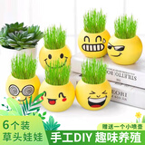 悠梵萌长草头娃娃植物办公室盆栽水培观察玩具苔藓微景观盆景diy6个装