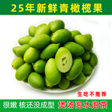 果斋园 新鲜青橄榄 生橄榄青果煲汤泡茶潮汕大头青两头尖橄榄水果 1斤装 发圆通