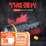 俱竞阳装2节1号干电池手电筒强光 家用应急老式怀旧LED节能防水防摔电筒 装2节一号电池长19CM(无电池)