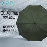 天堂伞强效拒水雨伞防风加固十骨大伞三折便携商务雨伞男女士 10骨大雨伞-冷山绿