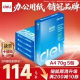 得力（deli）莱茵河A4打印纸 70g500张*5包一箱 口碑优选复印纸 双面草稿纸 整箱2500张7401【采购优选】