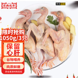 京典光年乳鸽净重1050g（350g*3只）冷冻 散养生鲜新鲜烧烤汤鸽煲汤鸽子肉