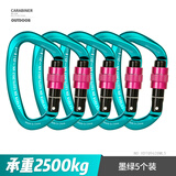 欣达（xinda）专业攀岩登山D形主锁承重安全扣锁具铝合金户外安全挂钩锁匙扣 墨绿色5个装