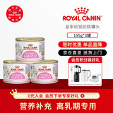 皇家奶糕罐头慕斯幼猫1-4个月离乳期奶糕孕猫罐头湿粮猫零食195g/罐 猫慕斯奶糕罐195g * 3罐