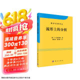 数学名著译丛：流形上的分析