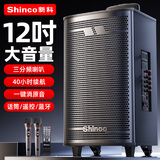 新科T30广场舞音响户外大音量拉杆蓝牙音箱三喇叭重低音木质箱体家用K歌移动摆摊 12吋双咪