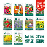 北蔬 花种子组合四季开花太阳花凤仙花向日葵野花种籽 10种花种子套装