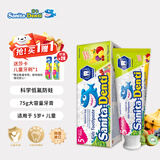 莎卡（sanita-denti）儿童牙膏6-12岁含氟防蛀护齿 青少年牙膏儿童抑菌清新口气 水果味