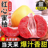 集南鲜 福建红心柚子 新鲜水果红肉蜜柚 当季琯溪柚子孕妇水果节日送礼 特级10斤（3-4个） 净重9斤