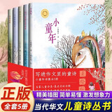 写进作文里的童诗 小童年诗集（5册）当代华文儿童诗丛书美绘本小学生作文金句语言启蒙诗歌名家诗集有一种颜色叫做梦田野里的诗行