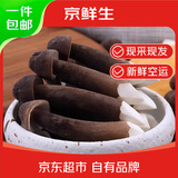 京鲜生&云芳斋 云南黑皮鸡枞菌1斤 新鲜鸡枞菌火锅煲汤食材 源头直发
