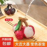 荔枝茶宠摆件创意个性冲水变色茶玩茶道茶具配件变色饰品沏茶 三颗