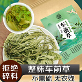 养益君 车前草250g 整株新晒干货 无熏硫车轮菜牛舌草 养生茶