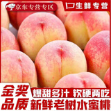 壹萌果蔬新鲜水蜜桃新鲜甜脆桃子水果红不软毛桃当季现摘山西水果整箱送礼 精选3斤精品果【单果60-90g】