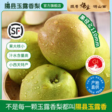 隰县玉露香梨 【顺丰现货】整箱香梨当季水果山西隰县小西天特产 孕妇水果送礼 6粒巨无霸（净重约7.5斤）110+mm