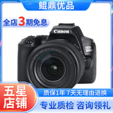 佳能/Canon EOS 100D 200D 200d二代 二手单反相机 200D二代黑色+18-135  套机 99新