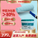 兰舍（DIATOMMUDLANSHE）半碧江山液体硅藻泥墙面漆内墙涂料水性硅藻泥净化甲醛防霉防潮 5L（白色）