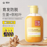 琴叶（Q&Y）侧柏叶姜粒洗发水500ml  GGH003 强根保养韧发控油清爽男女士学生