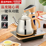 容声自动上水电热烧水壶家用烧水功夫茶具泡茶套装抽水煮茶器电磁炉智能保温一体机快壶电壶茶台茶几 0.8L 不锈钢款
