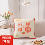 2025新款短绒小清新抱枕 多功能抱枕 车载抱枕 办公室枕芯抱枕 前程似锦 36*36cm一只装【不含芯】