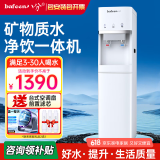 八分（bafeen） 立式净水器商用直饮机饮水机过滤净水机加热一体200型UF超滤RO反渗透直饮水机办公室健身房学校 200A 超滤温热型-不排废水3-30人