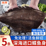 朵芙鲽鱼超大 免处理鲽鱼身比目鱼 鲽鱼段冷冻鸦片鱼海鱼鱼类 无冰鲽鱼身 500g *5条