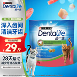 齿一生猫零食猫咪饼干洁齿磨牙零食成猫三文鱼味170g Dentalife