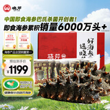 晓芹 大连即食海参 3斤 21-27只 辽刺参 海鲜水产 礼盒装