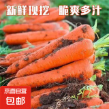 京喜加新鲜胡萝卜当季农家自种萝卜脆爽多汁水果蔬菜 新鲜胡萝卜 1斤 带箱