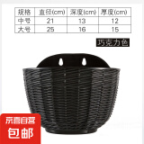 新款壁挂吊篮花盆创意墙上挂壁绿萝塑料悬挂式阳台半圆吊兰树脂盆 黑色+内网+塞子 配S钩中号口直径21cm【1个装】