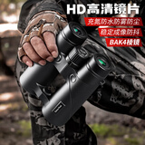菲莱仕双筒望远镜高倍高清充氮防水微光夜视教学观鸟演唱会HD镜片 TM911 10*42黑色经典款