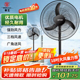 华生（Wahson）电风扇家用落地扇交流定频电扇立式工业扇18吋牛角扇低噪大风量宿舍办公车间商用强力风扇FS-D1806