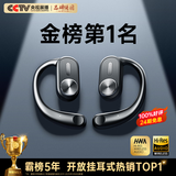 REMAX【2025最新款丨柏林之声】蓝牙耳机挂耳式骨传导概念金榜第1名开放式无线不入耳运动跑步降噪耳夹