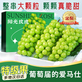 松筱阳光玫瑰葡萄水果礼盒【多地次日达】云南晴王香印青葡提子送礼物 优选3斤精美礼盒净重2.5斤 商超果 单粒8-10g