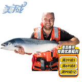 美威冷冻智利 三文鱼礼盒净重12斤 整条轮切礼盒 大西洋鲑鱼 海鲜
