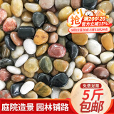 大海边【当日速发】5斤鹅卵石铺路铺地庭院园林造景天然大小石头雨花石 精抛五彩2.0-3.0cm【5斤装】