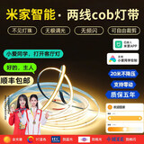 梵耀已接入米家app智能灯带cob24v三色无极调光家用客厅卧室线条灯 17米调光调色灯带+智能变压器 智能调光调色灯带