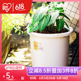 爱丽思（IRIS）Deepot花盆加厚树脂控根圆口绿萝绣球蔷薇月季塑料花盆  5号白色(口径约17cm)无盆托