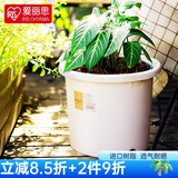 爱丽思（IRIS）Deepot花盆加厚树脂控根圆口绿萝绣球蔷薇月季塑料花盆  5号白色(口径约17cm)无盆托