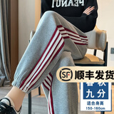 幻黛休闲裤女秋季新款灯笼裤宽松哈伦动裤束脚百搭卫裤 浅灰九分裤 M【建议95-110斤】