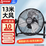 风轻杨电风扇工业风扇趴地扇落地壁挂多用风扇大功率强力风扇纯铜电机台扇办公家用10/12/14/16/18/20寸 铜线电机12寸4档黑色2.5米线