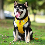磊嘉狗绳狗链柯基防爆冲胸背带牵引绳中大型小型犬遛狗绳柴犬 新#黄色胸背带1个配狗绳1根 L（建议18-40斤）