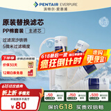 爱惠浦（Everpure） PP棉滤芯4支10吋/5微米加扳手 净水机通用滤芯